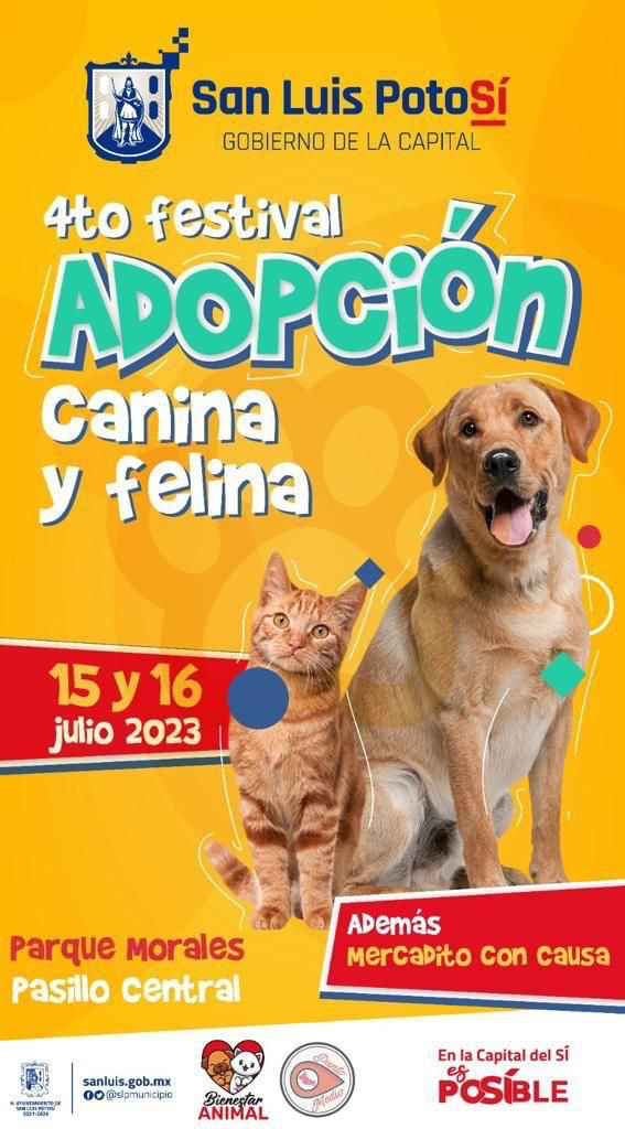 Para fomentar el bienestar animal, se llevará a cabo el 4to Festival de Adopción Canina y Felina del Gobierno de la&nbsp;Capital