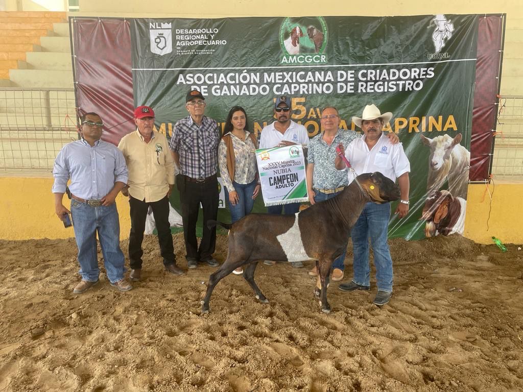 Ganado caprino de la UASLP destaca en Muestra Nacional en Nuevo&nbsp;León&nbsp;