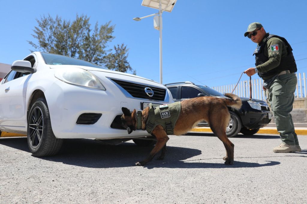 GRUPO K9 DE LA GCE SE SUMAN A LAS TAREAS DE PROTECCIÓN Y&nbsp;SALVAGUARDA