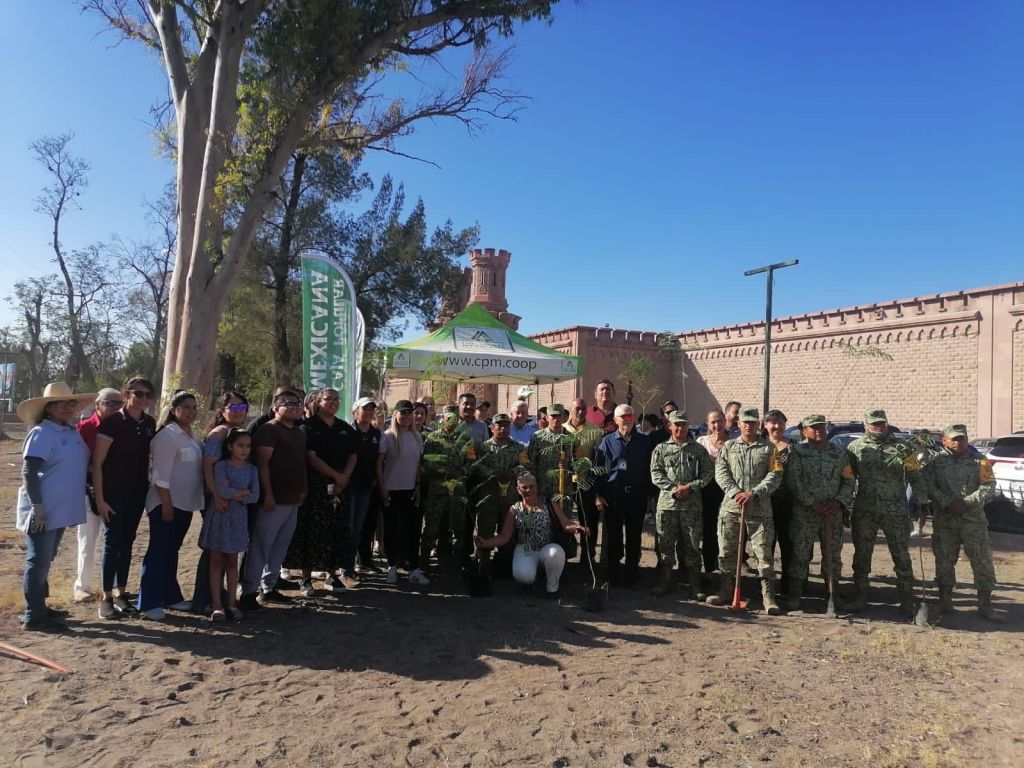 Calzada de Guadalupe se llena de color: 40 Jacarandas florecerán en favor de un estado más&nbsp;verde