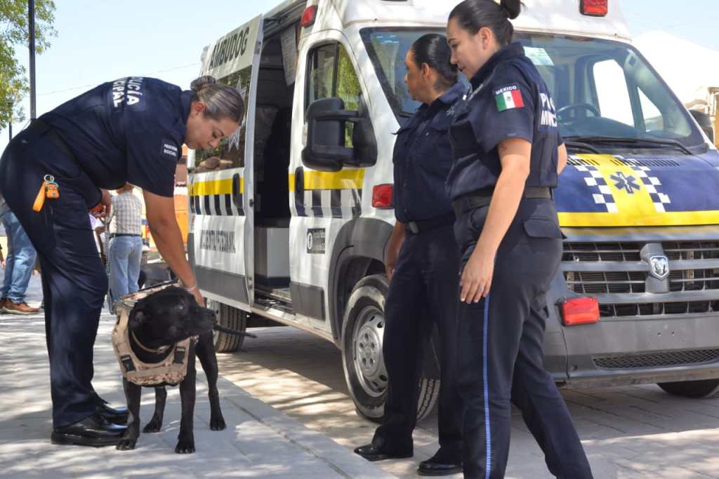 SERVICIO GRATUITO AMBUDOG EN SOLEDAD, SUPERA EXPECTATIVA DE ATENCIÓN A&nbsp;MASCOTAS