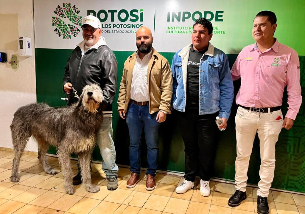 GOBIERNO INVITA A PRIMER FESTIVAL CANINO&nbsp;NAVIDEÑO