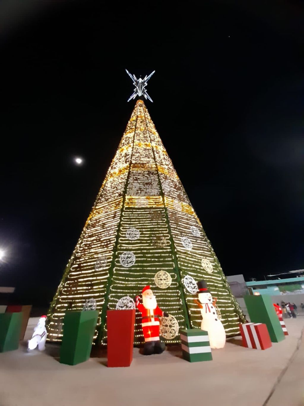 GOBIERNO INVITA AL ENCENDIDO DE ÁRBOL NAVIDEÑO EN FENAPO      