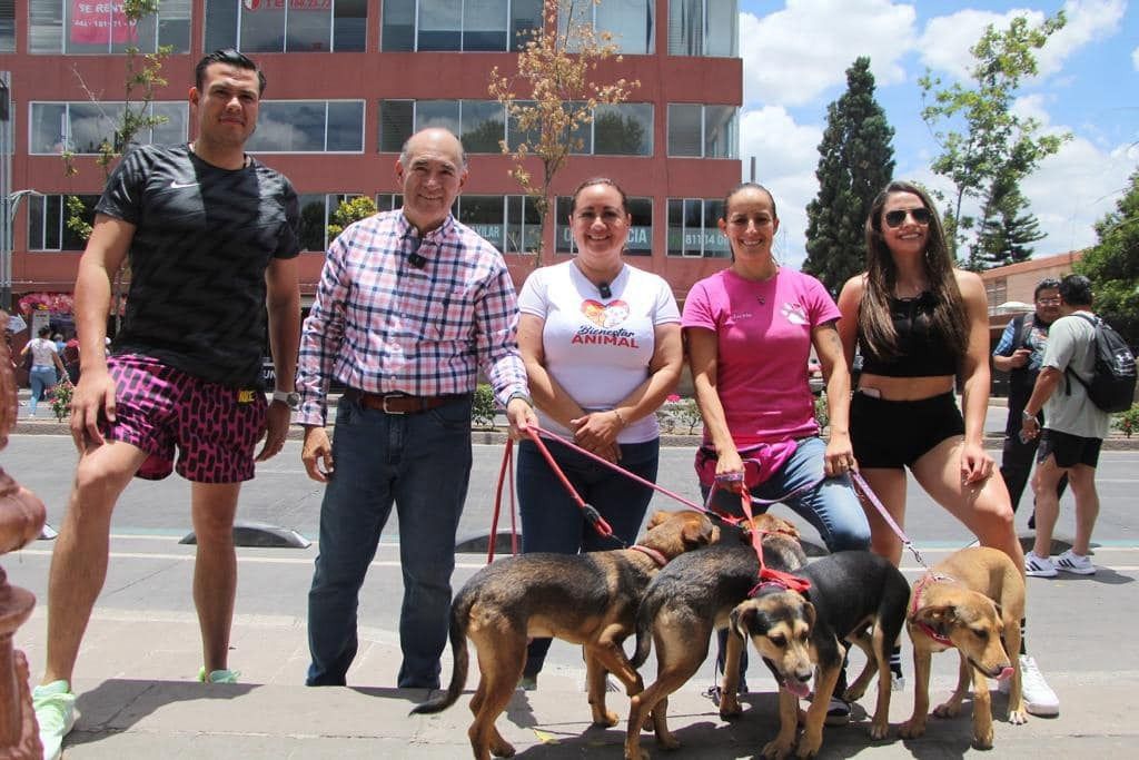 Continúan los registros para la “Carrera Perrona 2024”, a cargo del Gobierno de la&nbsp;Capital