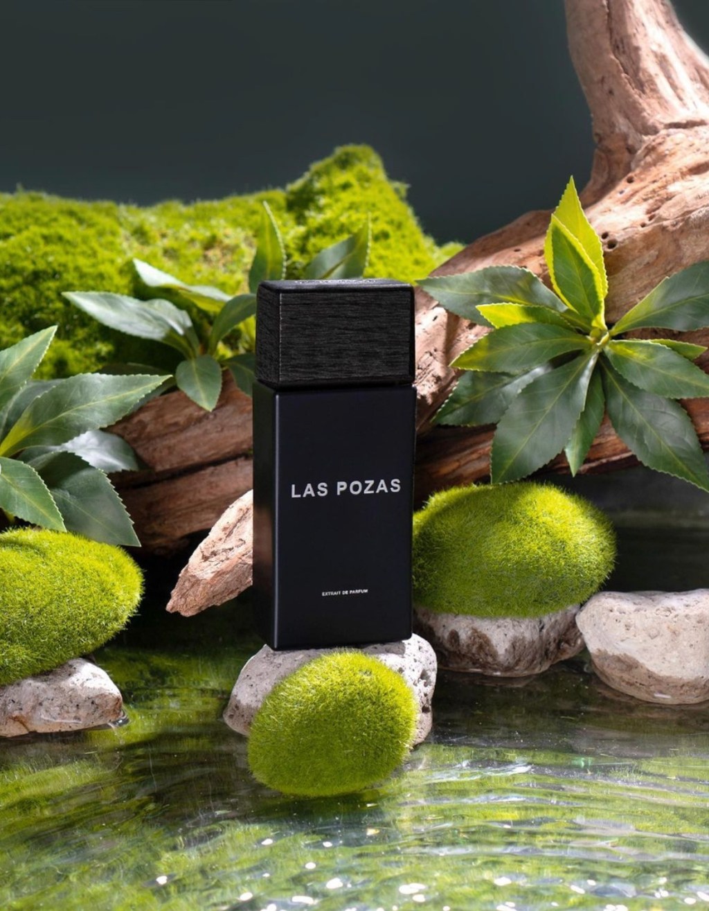 LANZAN FRAGANCIA INSPIRADA EN LAS POZAS DE&nbsp;XILITLA