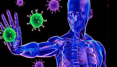 Potenciar el sistema inmunológico contra virus y bacterias, indispensable durante la temporada invernal: Dr. Gad Gamed&nbsp;Zavala