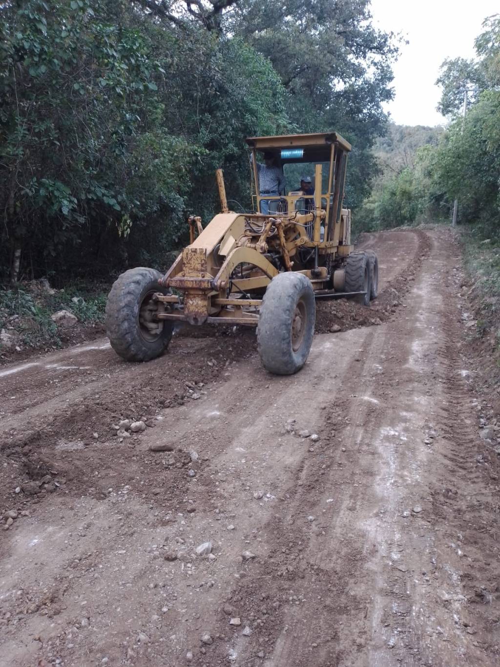 GOBIERNO MEJORA CAMINOS CAÑEROS EN&nbsp;TAMASOPO