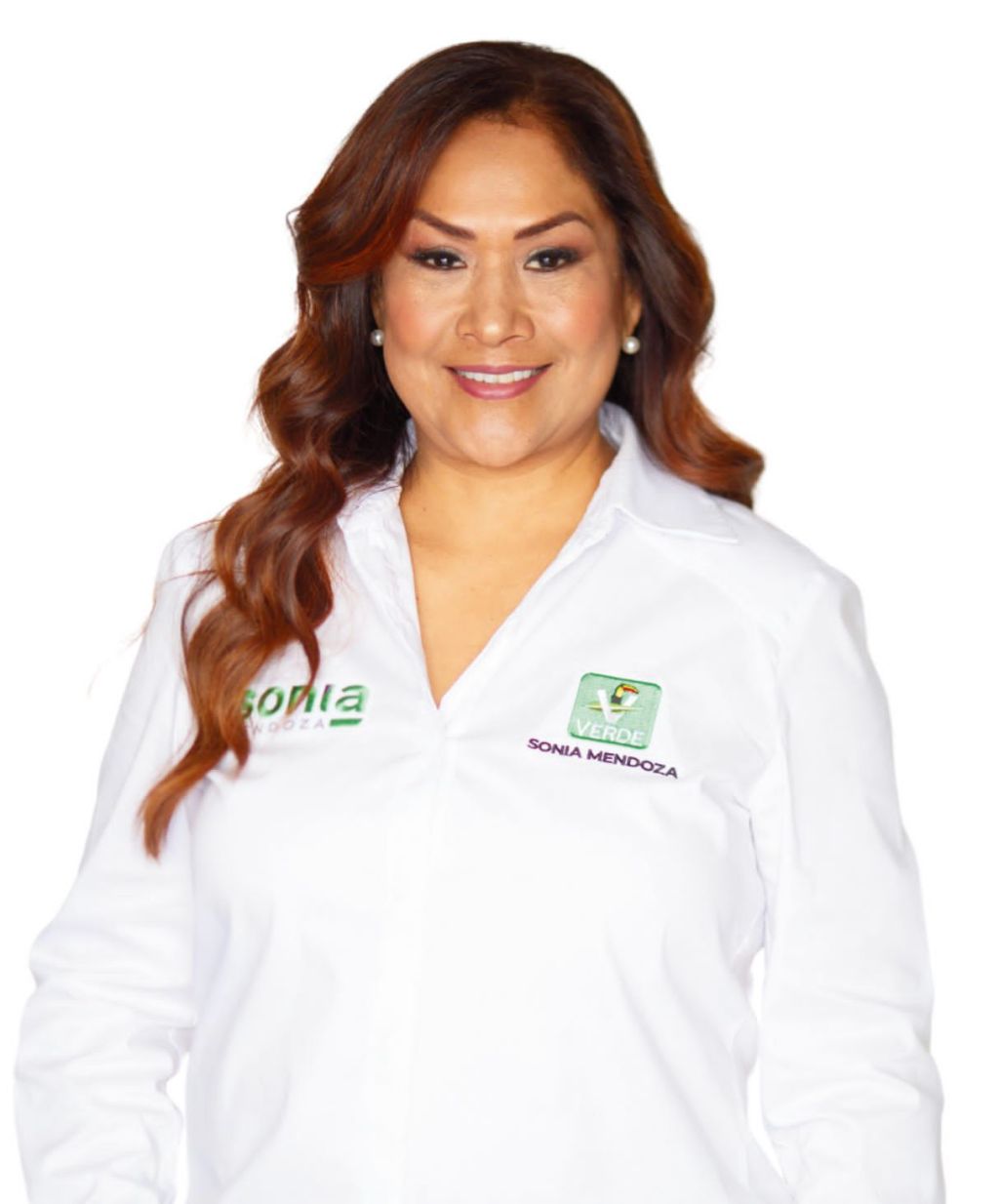 COMITÉ EJECUTIVO NACIONALPARTIDO VERDE ECOLOGISTA DE&nbsp;MÉXICO