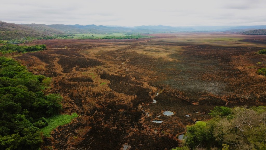 EVALÚAN DAÑOS POR INCENDIO FORESTAL EN CIÉNEGA DE&nbsp;TAMASOPO