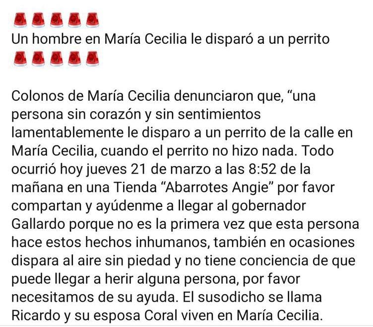 RICARDO GALLARDO INSTRUYE INVESTIGAR CASO DE MALTRATO ANIMAL EN LA&nbsp;CAPITAL