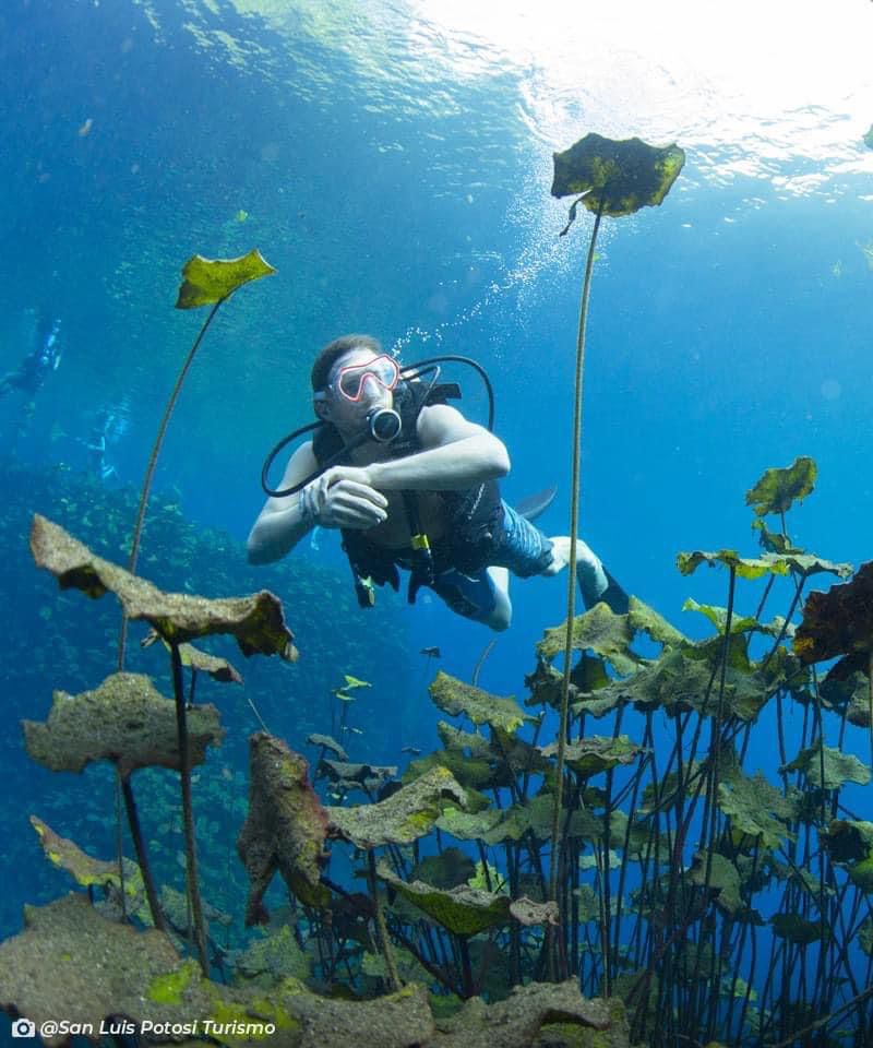 GOBIERNO Y AYUNTAMIENTOS BRINDAN ATENCIÓN A&nbsp;TURISTAS