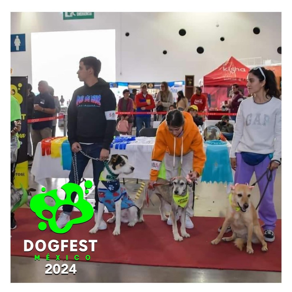 DOGFEST 2024 LLEGA AL CENTRO DE CONVENCIONES DE SAN LUIS&nbsp;POTOSÍ