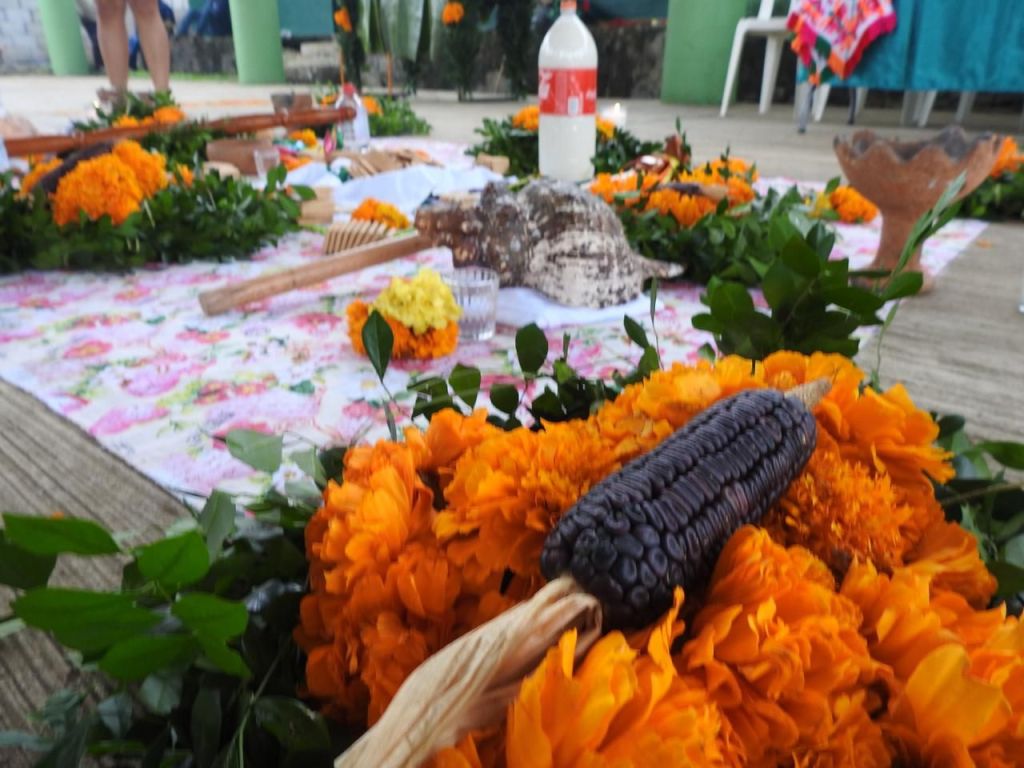 REALIZAN CENSO DE MEDICINA&nbsp;TRADICIONAL