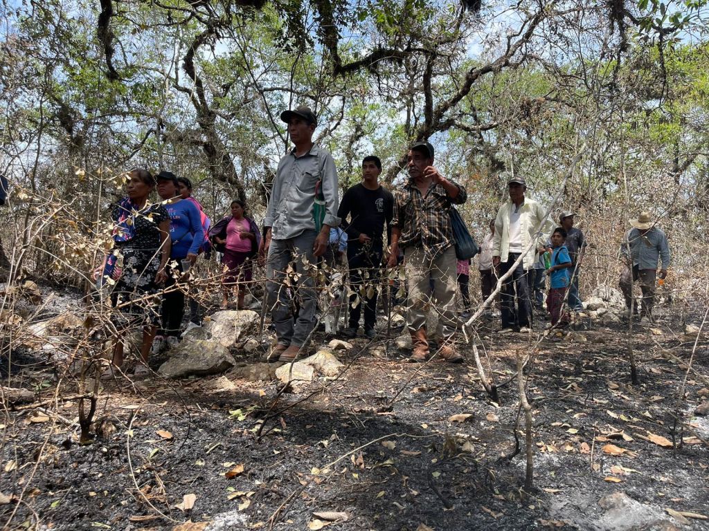 COMUNIDADES RECIBEN ASESORÍA EN PROTECCIÓN&nbsp;FORESTAL