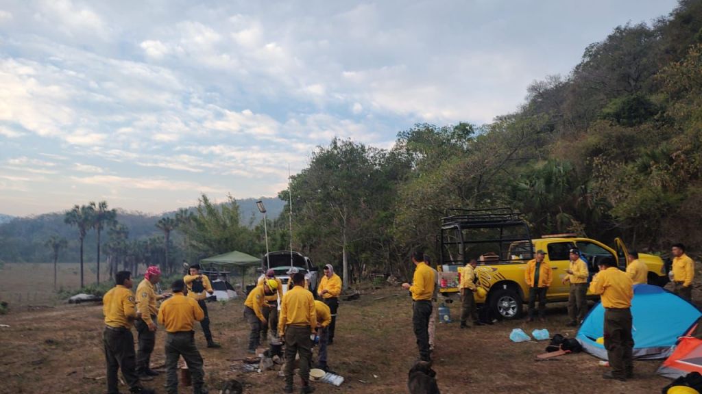 COMBATEN 250 BRIGADISTAS INCENDIOS FORESTALES EN&nbsp;SLP
