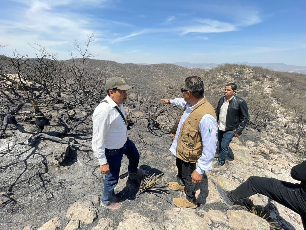 CONTROLADO INCENDIO EN SIERRA DE SAN&nbsp;MIGUELITO