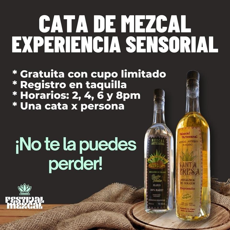 RECIBE TANGAMANGA I, FESTIVAL MEXCAL&nbsp;2024