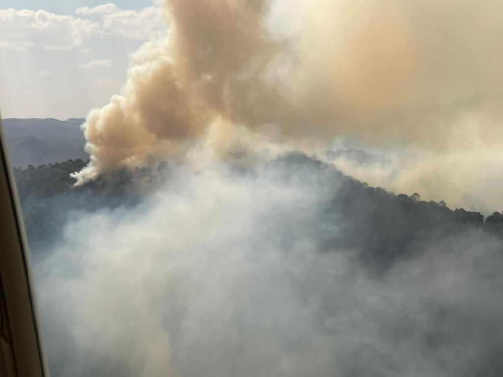 AUTORIDADES DE LOS TRES NIVELES DE GOBIERNO COMBATEN INCENDIO FORESTAL EN SANTA MARÍA DEL&nbsp;RÍO