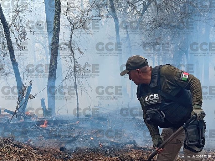 GUARDIA CIVIL ESTATAL SE SUMA A COMBATE DE INCENDIOS&nbsp;FORESTALES