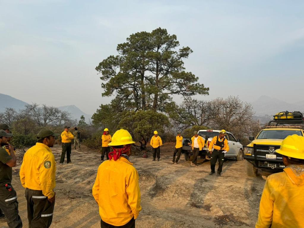 INTENSIFICAN LABORES PARA COMBATIR INCENDIO FORESTAL EN SANTA MARÍA Y TIERRA&nbsp;NUEVA