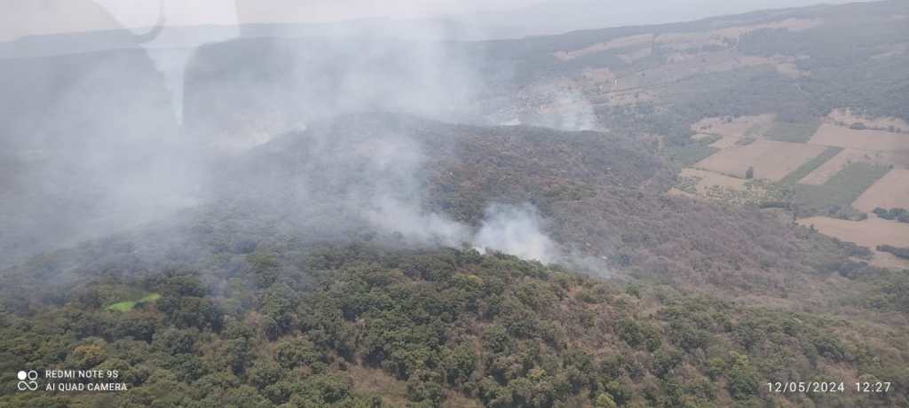 GOBIERNO ESTATAL ATIENDE INCENDIO FORESTAL EN&nbsp;TAMASOPO