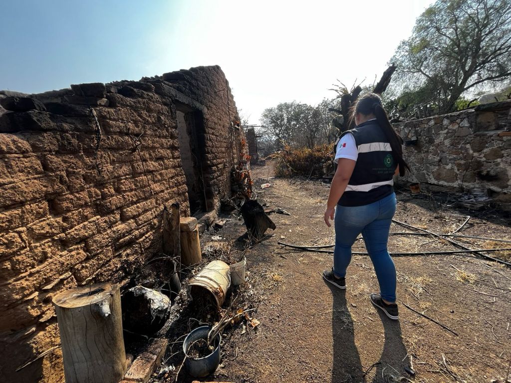 EVALÚAN DAÑOS POR INCENDIO FORESTAL DE SANTA MARÍA DEL RÍO Y&nbsp;TIERRANUEVA