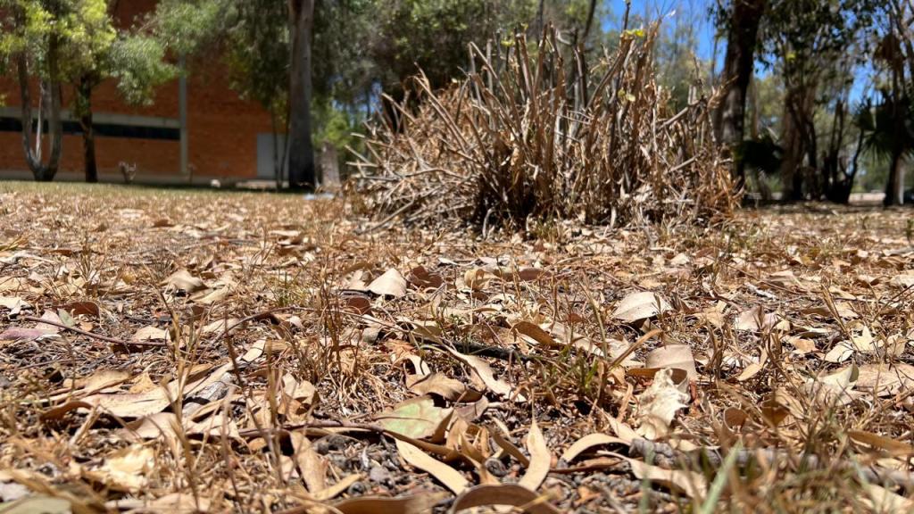 GOBIERNO ESTATAL CAPACITARÁ A MUNICIPIOS PARA BRINDAR ATENCIÓN POR&nbsp;CALOR