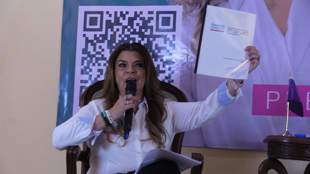 ÁNGELES HERMOSILLO PRESENTA SU CONTUNDENTE AGENDA AMBIENTAL PARA EL GOBIERNO MUNICIPAL DE SAN LUIS POTOSÍ EN EL PERIODO&nbsp;2024-2027