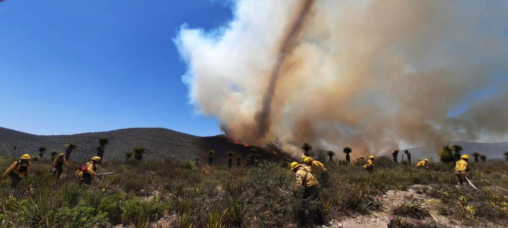 BRIGADISTAS FORESTALES TRABAJAN DÍA Y NOCHE EN INCENDIO EN&nbsp;MATEHUALA