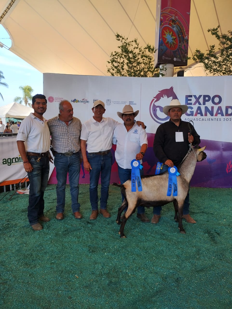 Ganado caprino de la Facultad de Agronomía y Veterinaria de la UASLP triunfa en la Expo Ganadera de la Feria Nacional de San&nbsp;Marcos