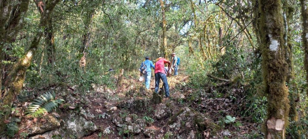 AVANZA COMBATE A LOS INCENDIOS FORESTALES EN EL&nbsp;ESTADO