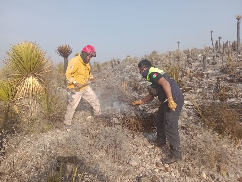 CONTROLADOS AL CIEN POR CIENTO INCENDIOS FORESTALES EN EL&nbsp;ESTADO