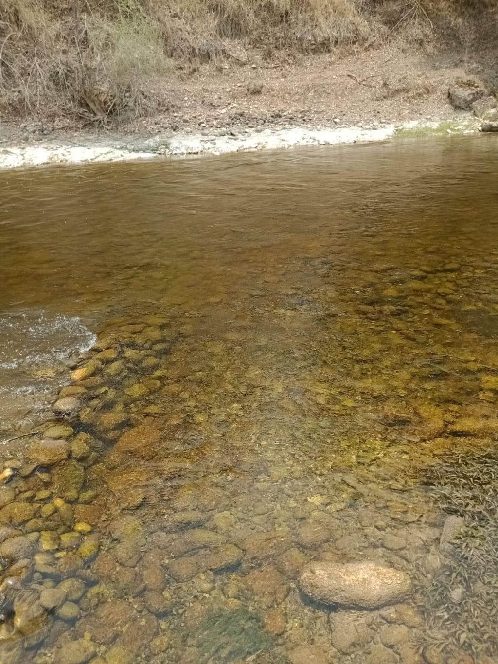 GOBIERNO ESTATAL ALERTA Y VIGILANTE EN RÍOS DE LA&nbsp;HUASTECA