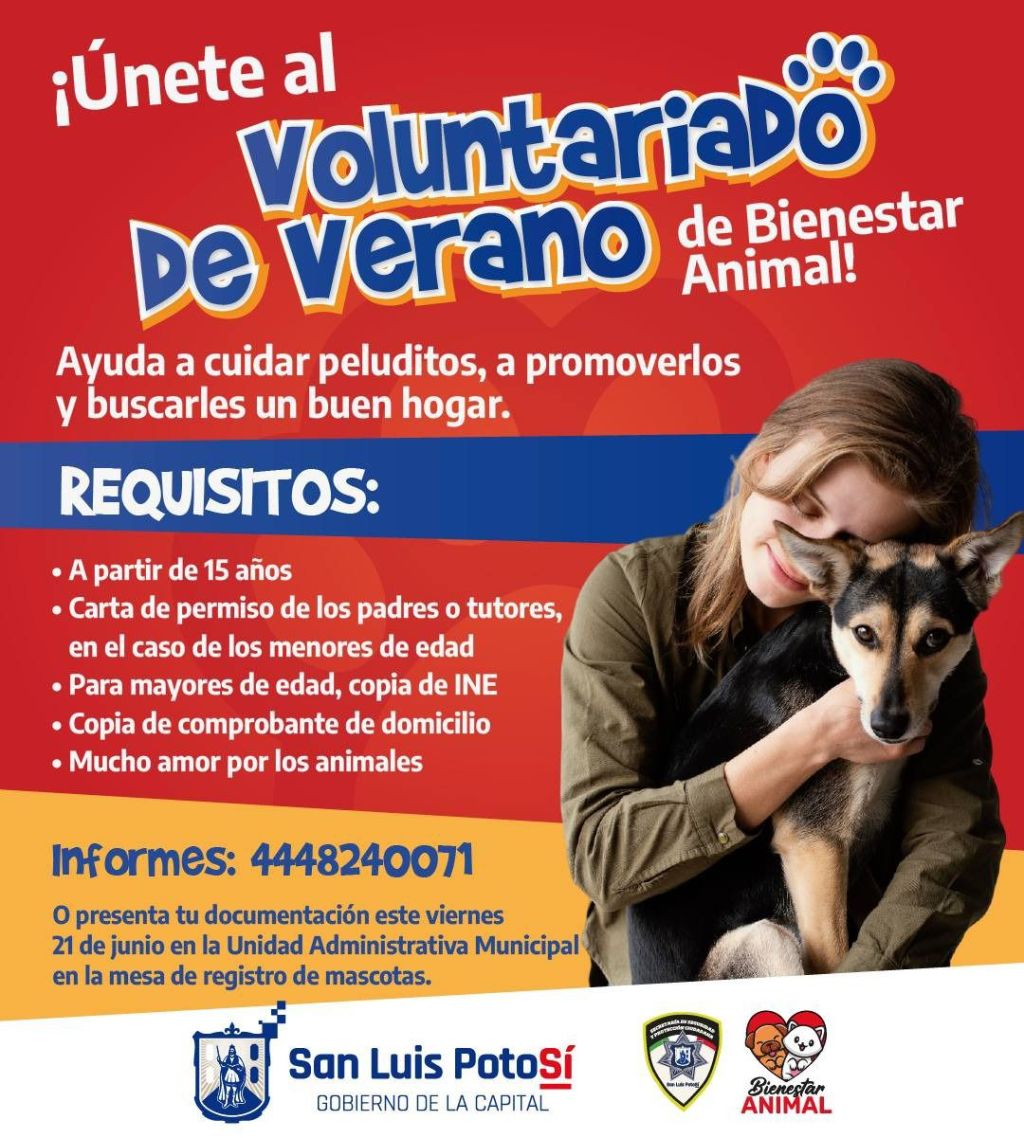 Gobierno de la Capital invita a participar en el voluntariado de verano de Bienestar&nbsp;Animal