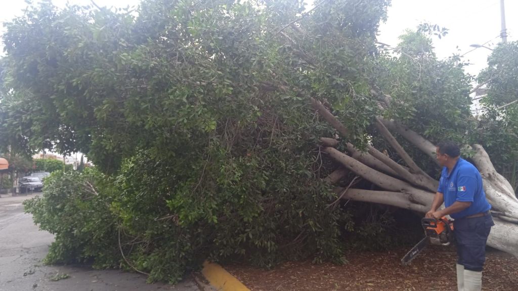 SSPC se mantiene alerta ante pronóstico de lluvias para las próximas horas en la capital&nbsp;potosina