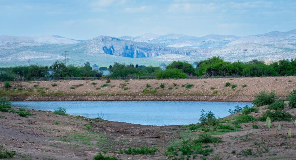 BORDOS REHABILITADOS POR EL GOBIERNO ESTATAL SE LLENAN CON LAS&nbsp;LLUVIAS