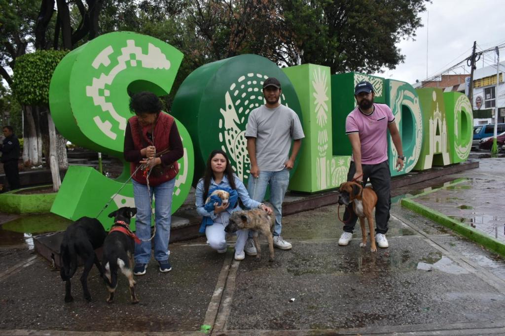 SOLEDAD DE GRACIANO SÁNCHEZ PROMUEVE DIGNIDAD ANIMAL, CON ADOPCIÓN CANINA Y&nbsp;FELINA