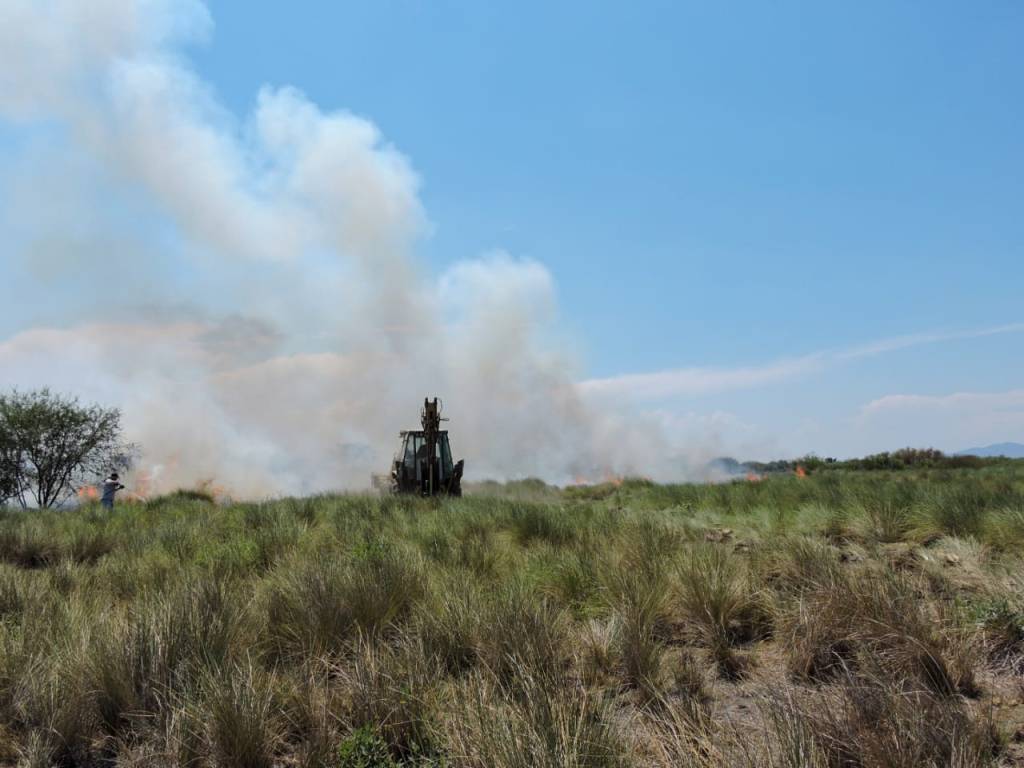 GOBIERNO ESTATAL MANTIENE COMBATE A INCENDIOS&nbsp;FORESTALES