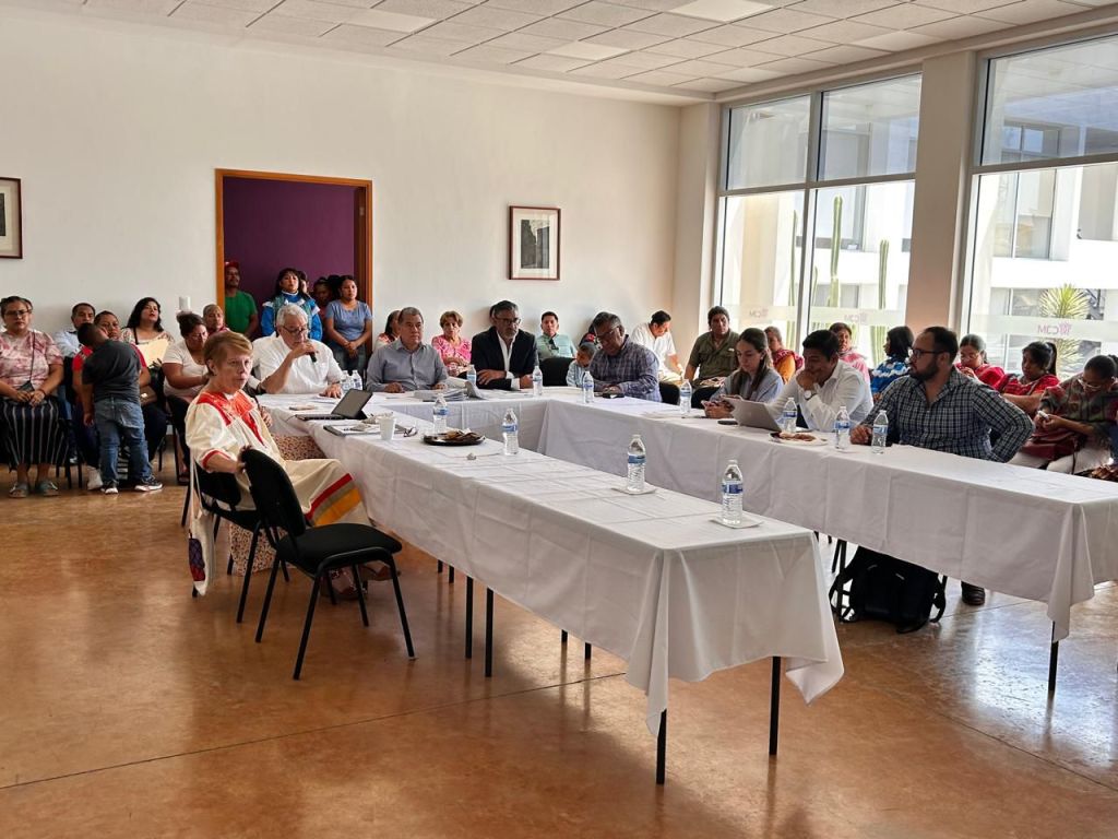 PODER EJECUTIVO GARANTIZA DERECHOS DE PUEBLOS&nbsp;ORIGINARIOS