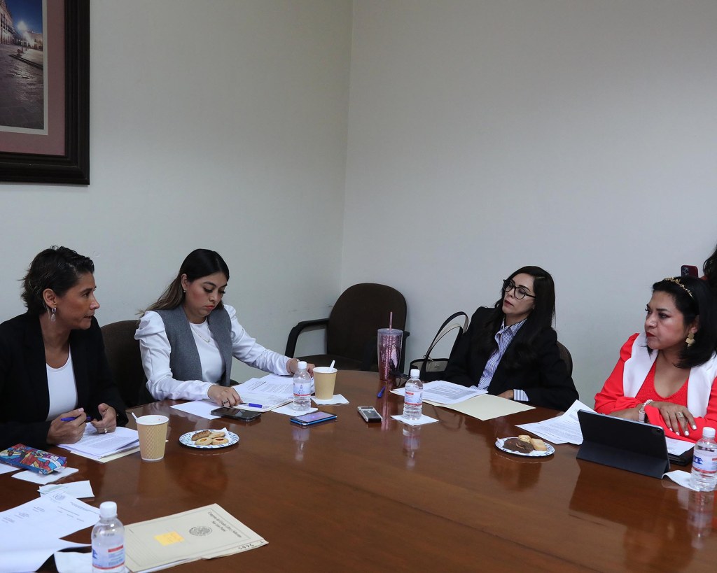 APRUEBA COMISIÓN LEGISLATIVA DE DERECHOS HUMANOS REFORMA A LA LEY DE LA&nbsp;CEDH