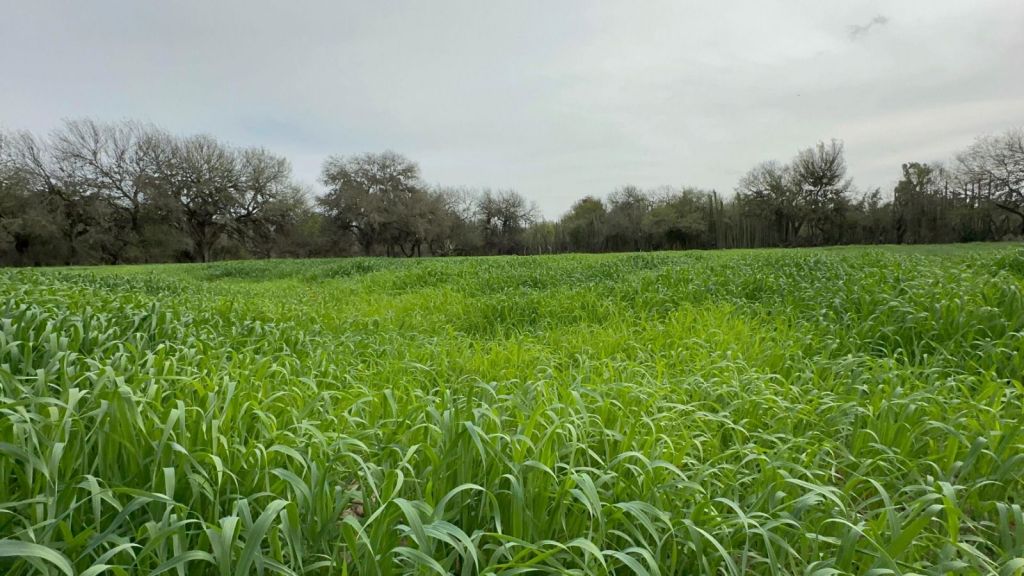 Ayuntamiento de la Capital beneficia al campo potosino con el programa Cintilla de Riego, para mejor aprovechamiento del&nbsp;agua