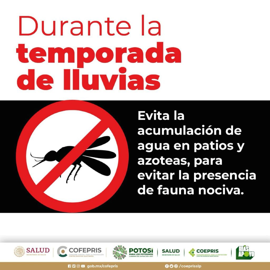 GOBIERNO ESTATAL EMITE MEDIDAS SANITARIAS POR PLAGA DE&nbsp;MOSCAS