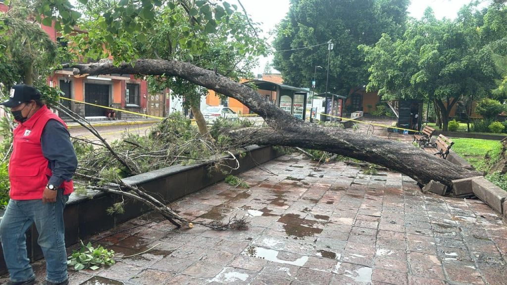 Ayuntamiento de SLP realiza este sábado limpiezas preventivas ante las fuertes lluvias pronosticadas este fin de&nbsp;semana