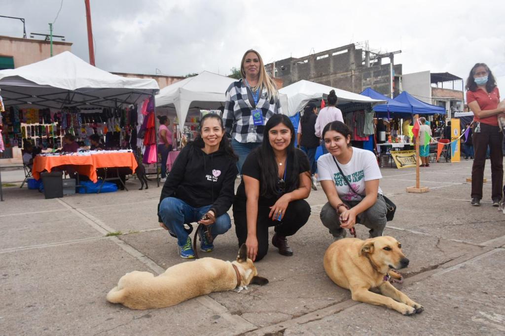 INICIA EL DOG FEST EN SOLEDAD, EVENTO DEDICADO A AMANTES Y PROTECTORES DE PERROS