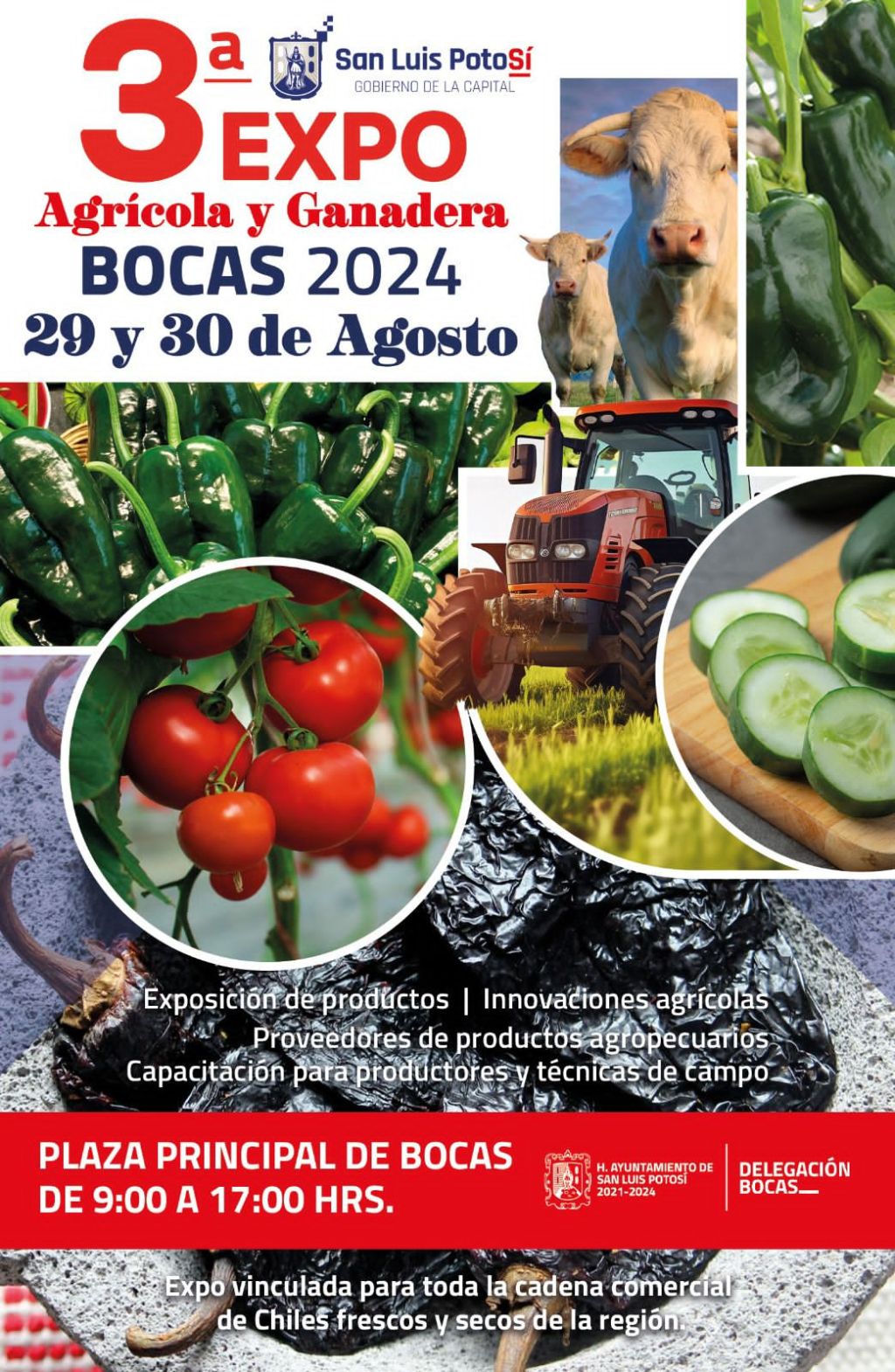 Ayuntamiento de SLP prepara la tercera edición de la Expo Agrícola y Ganadera 2024 en&nbsp;Bocas