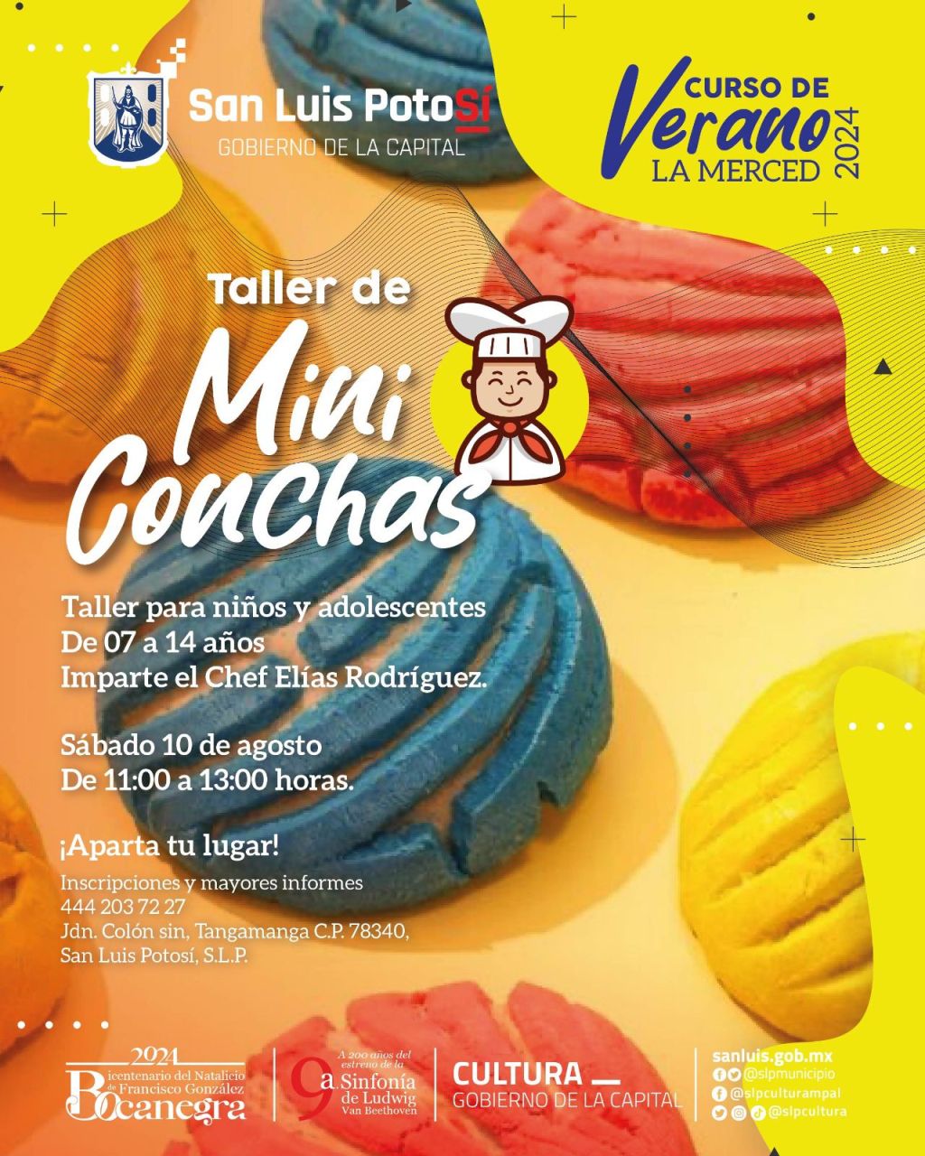 Cultura Municipal invita al taller de Mini Conchas para niñas, niños y&nbsp;adolescentes