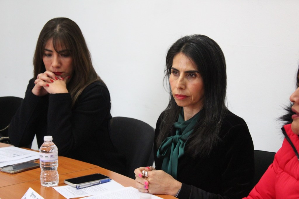 REALIZA IMES SESIÓN DEL OBSERVATORIO DE PARTICIPACIÓN POLÍTICA DE LAS&nbsp;MUJERES