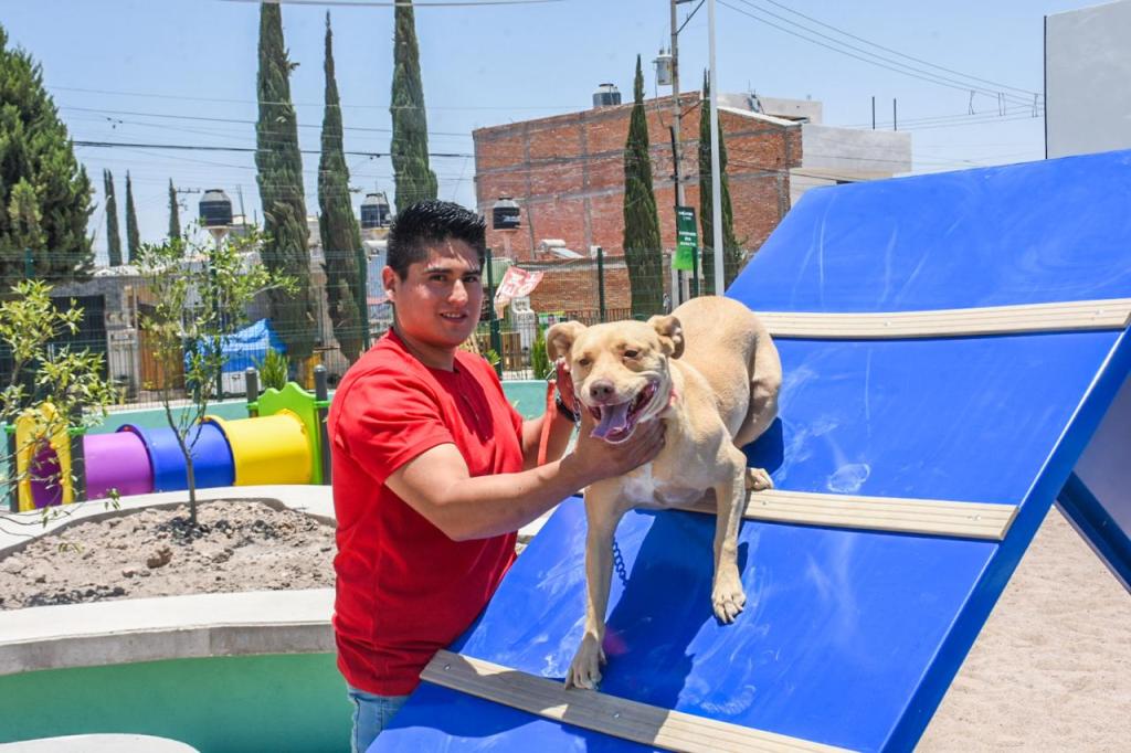 ACTIVISMO A FAVOR DEL BIENESTAR ANIMAL RECONOCE ACCIONES DEL AYUNTAMIENTO DE&nbsp;SOLEDAD