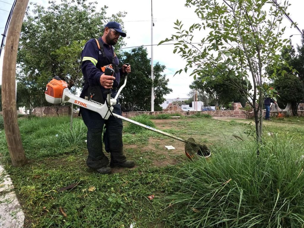 Trabajadores del Ayuntamiento intensifican labores de mantenimiento en la Avenida Salvador&nbsp;Nava