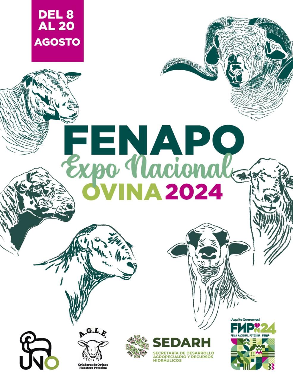 GOBIERNO ESTATAL PREPARA MUESTRA GANADERA EN LA FENAPO&nbsp;2024